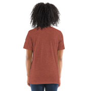 unisex-tri-blend-t-shirt-clay-triblend-back-66500a6937de0.png